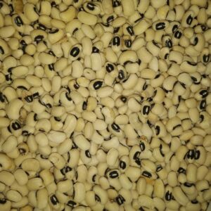 Roongi - Fresh & Premium Quality | Chib Grocery Store